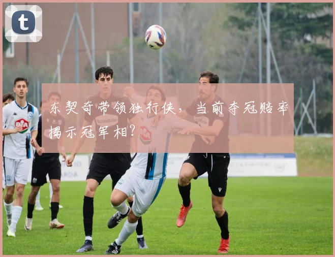 东契奇带领独行侠，当前夺冠赔率揭示冠军相？